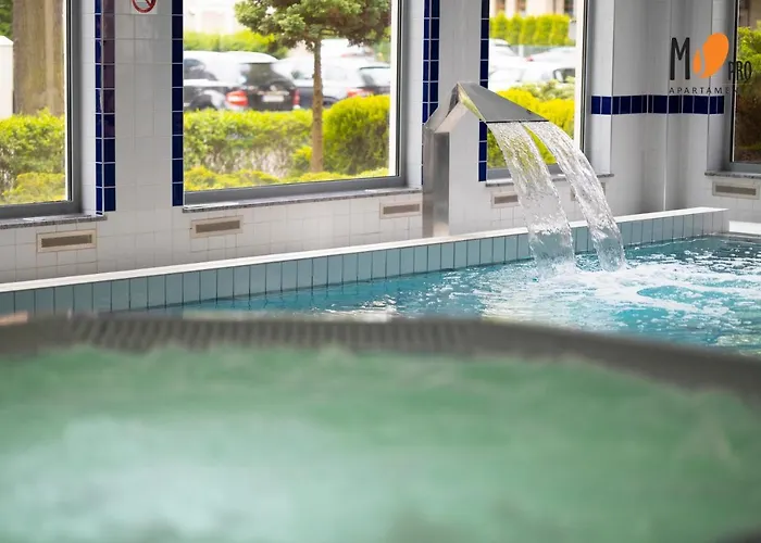 Ms Pro Olymp Strefa *